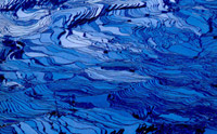 Bleu water