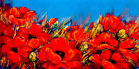 Field of poppies I
