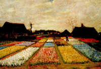 Letti di fiore in olanda 1883