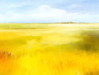 Yellow fields I