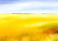 Yellow fields II