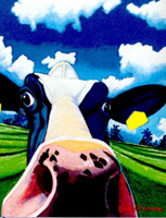 Cow II Nosey cow