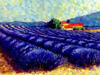 Lavender fields II