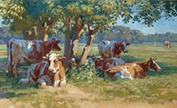 Cows in the shade
