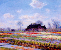 Tulips fields sassenheim