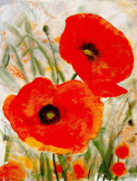 Tuscany poppies II