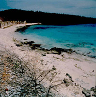 Bonaire, kust met ruine's