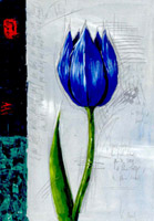 Bleu tulip