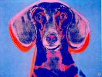 Portrait of maurice