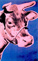 Cow 1976